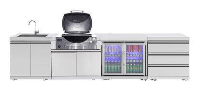 test rey 1 304 Stainless Steel BBQ Cabinet Module Suit Weber Family Q Built In Premium Gas BBQ (Q3600) - Outdoor Kitchen