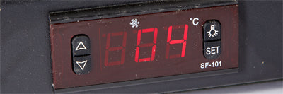 Floor Stock Double Door Commercial 980L Upright Wine Bar Fridge Black